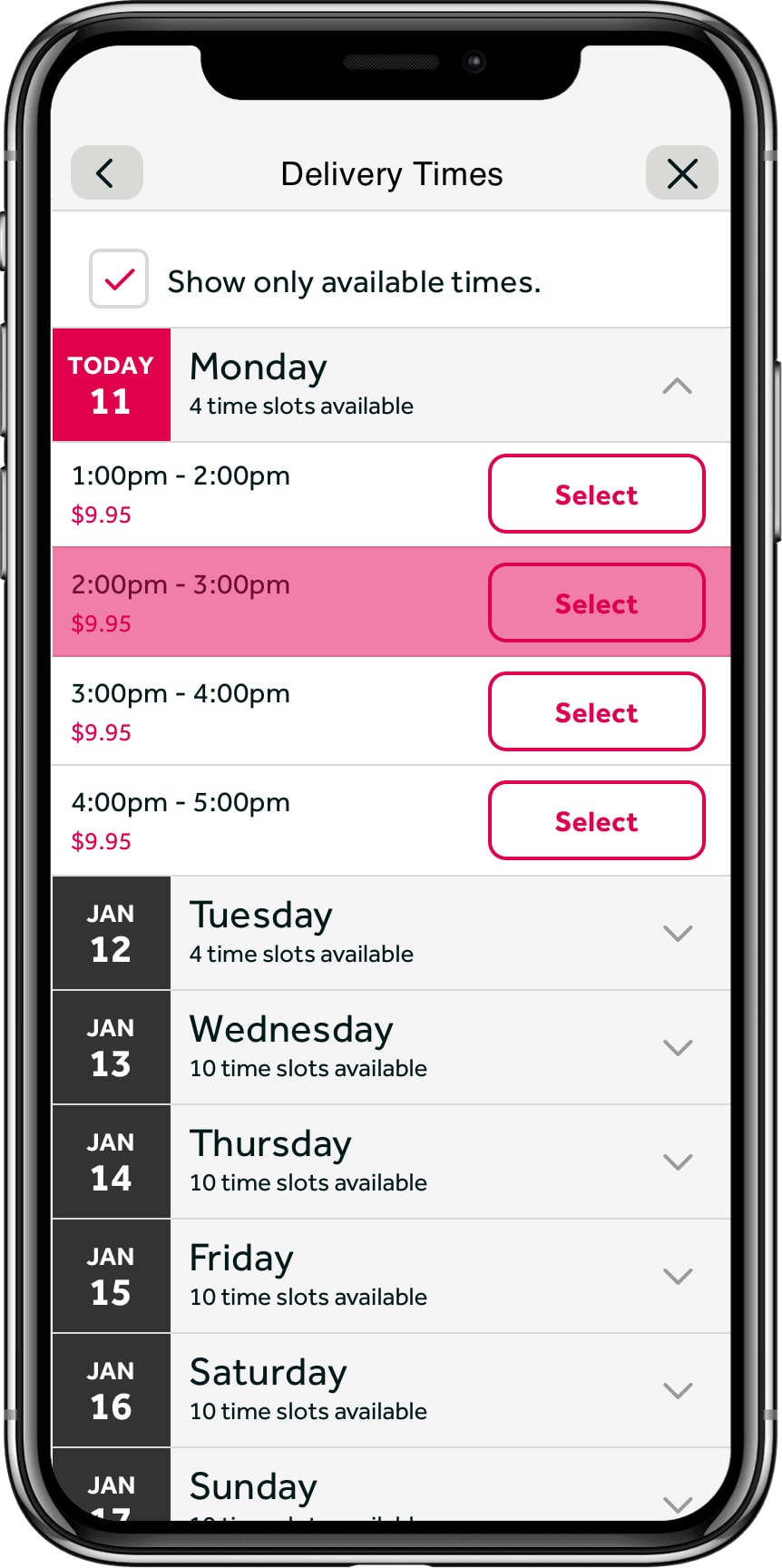 MVP prototype — slot selector, Same Day